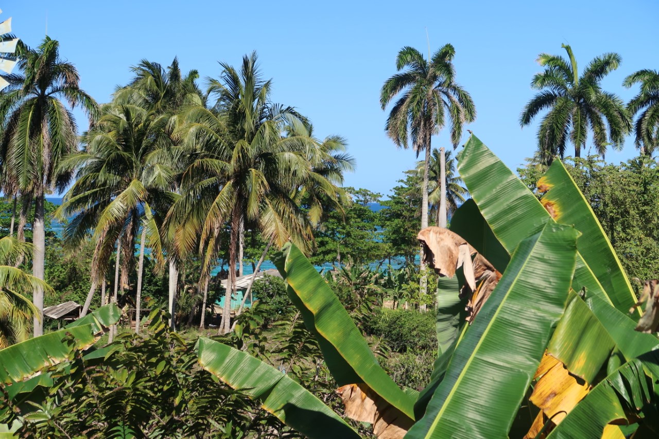 Privatunterkunft am Strand Maguana Beach Baracoa